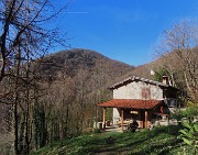 Festa di fiori sui sentieri per il Monte Ubione-19mar24